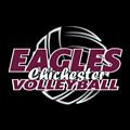 Chichester Volleyball 24