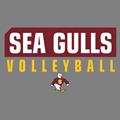 Salisbury Volleyball 2024