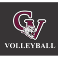 Garnet Valley Volleyball 2024