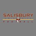 Salisbury Football Holiday 2024