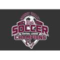 Garnet Valley Girls Soccer Champs