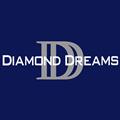 Diamond Dreams Academy Fall 2025