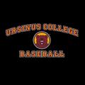 Ursinus College Baseball Holiday 2025
