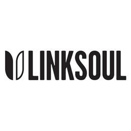 Linksoul